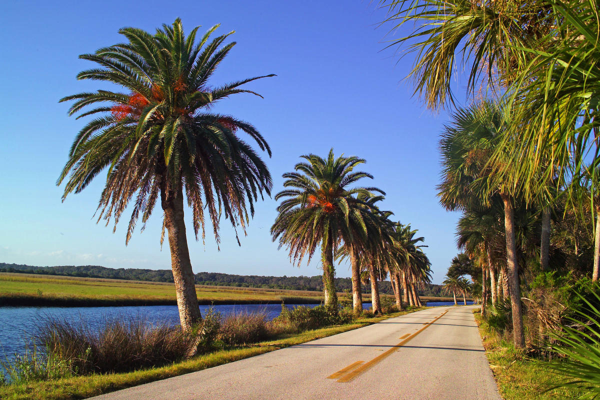 The breathtaking sights of Ormond Beach Scenic Loop, where nature's beauty unfolds at every turn.