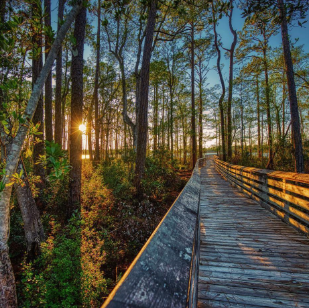 Exploring the Natural and Cultural Wonders of Tomoka State Park