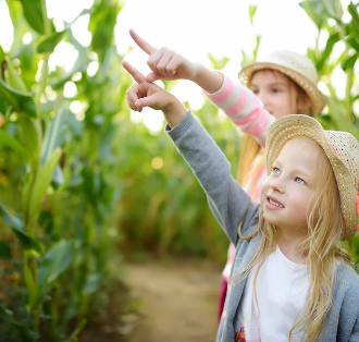 Harvesting Joy: Discover Ormond Beach’s Top Farms and Markets