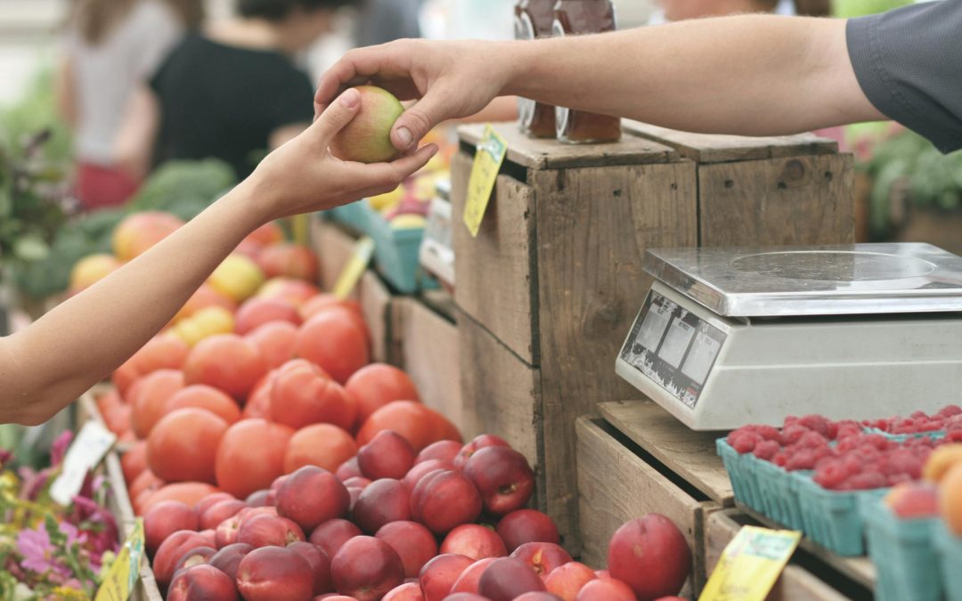 Discover the Charm of Ormond Beach Farmers Market: Fresh Finds Every Thursday