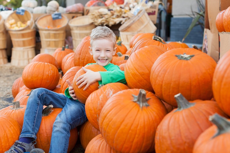 Celebrate Autumn With Games and Treats at Ormond Beach’s Fall Festival!