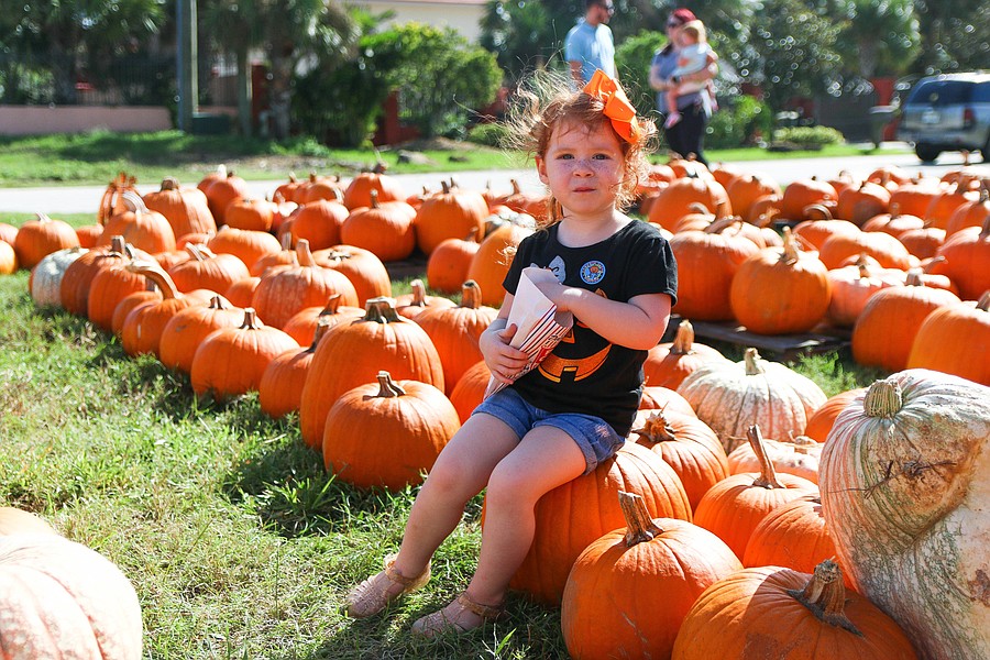 Get Creative: Pumpkin Sip & Paint Event Near Ormond Beach