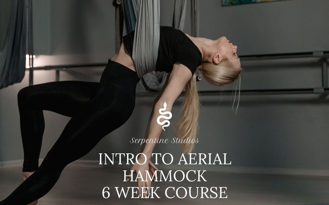 Transform Your Workout with Aerial Hammock Classes in Ormond Beach