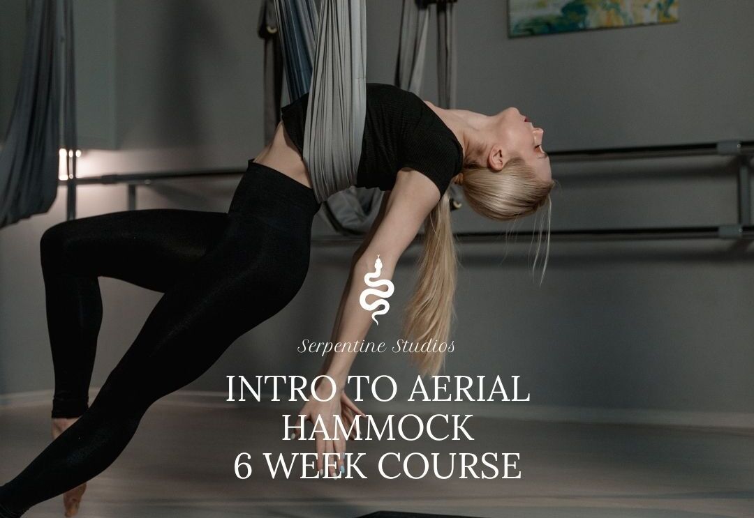 Transform Your Workout with Aerial Hammock Classes in Ormond Beach